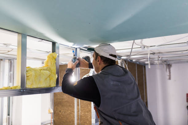 Best Insulation for New Construction  in Turtle Creek, PA